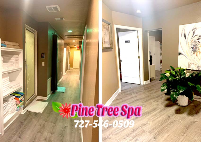 Pine Tree Massage